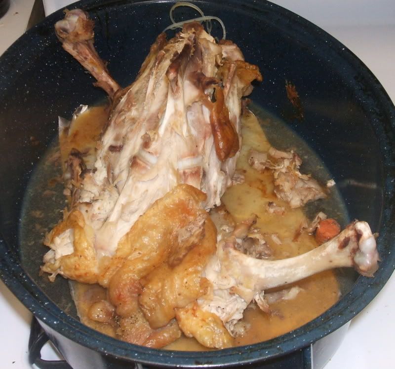 A Day in the Afterlife of a Frozen Turkey Life in the freezer